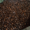 hạt rang Robusta