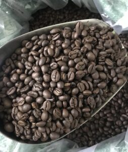 cafe hạt rang Robusta