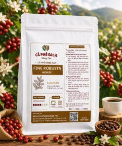 Robusta Honey